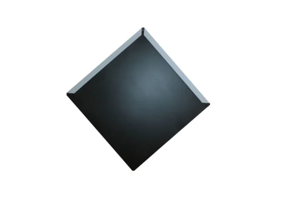 Tejas